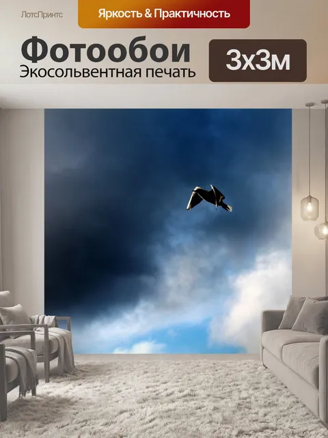 Фотообои Птица