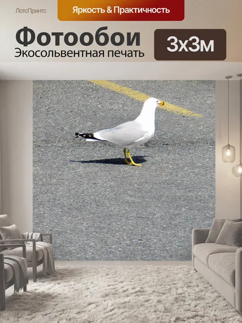 Фотообои Чайка 001
