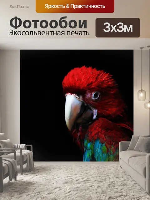 Фотообои Ара