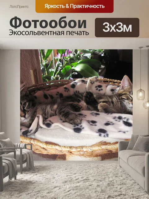 Фотообои Милый