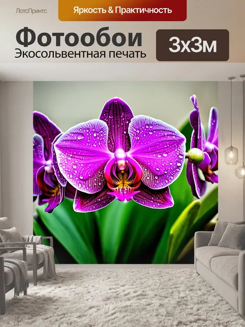 Фотообои орхидея с капельками воды на бутонах, подчеркивающая свежесть