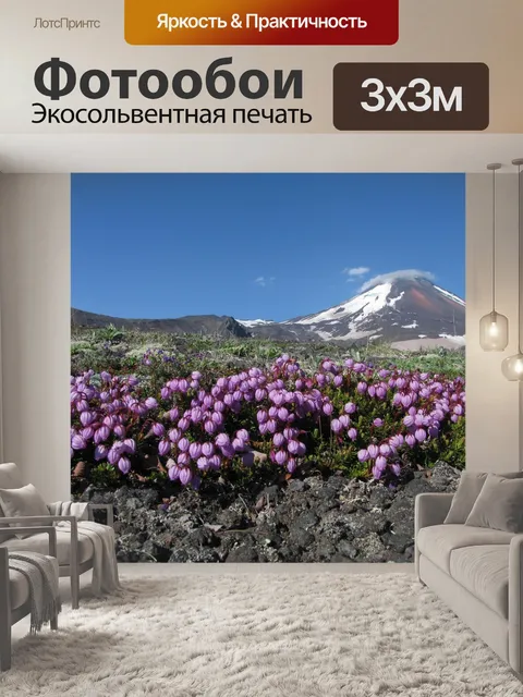 Фотообои Вулкан авачинский