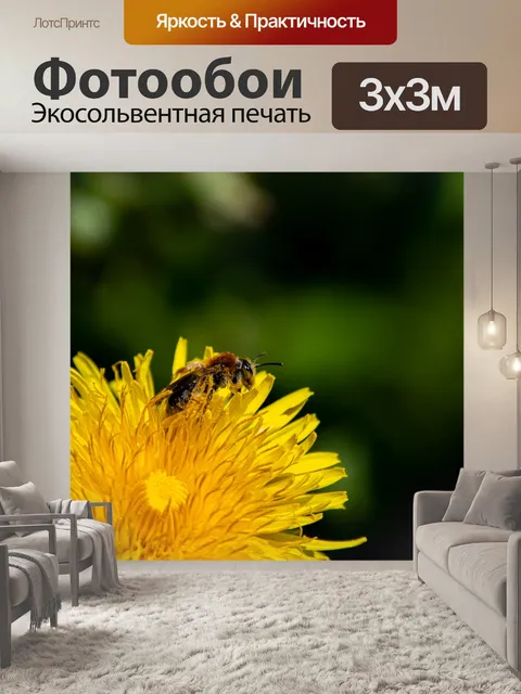 Фотообои Медоносная пчела, пчела, насекомое