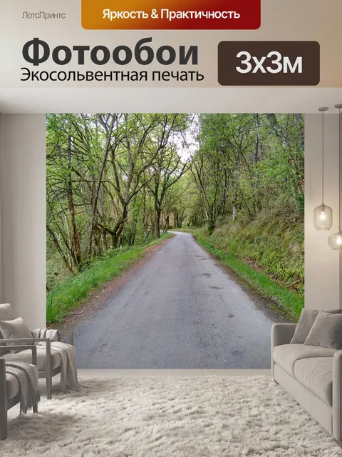 Фотообои Шоссе