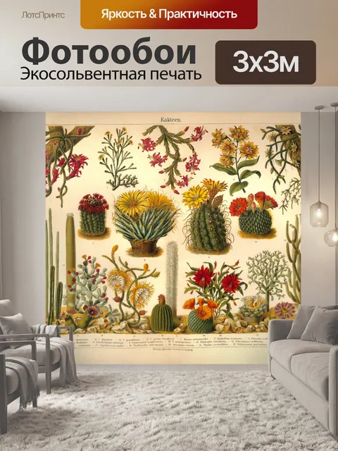 Фотообои Сочные кактус винтажное искусство