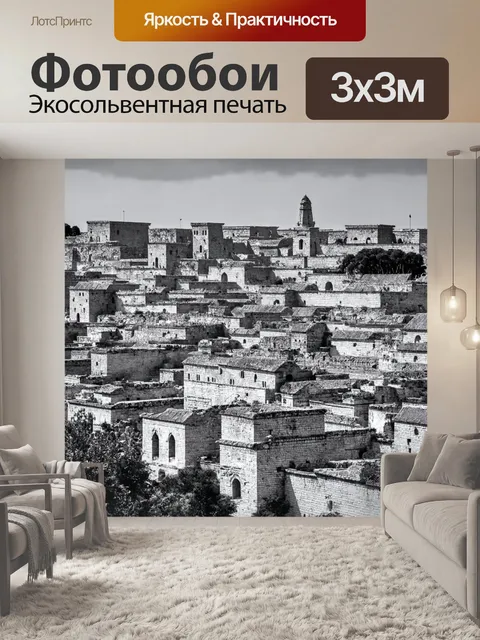 Фотообои с черно-белой фотографией старинного города