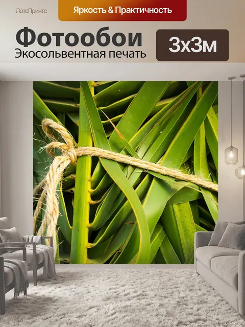 Фотообои Пальма