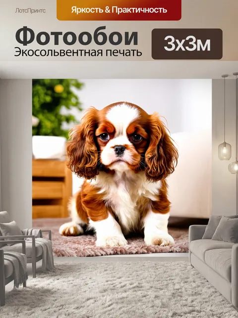 Фотообои щенок кинг чарльз спаниеля, с пушистыми ушами и игривым характером, наполняя дом радостью