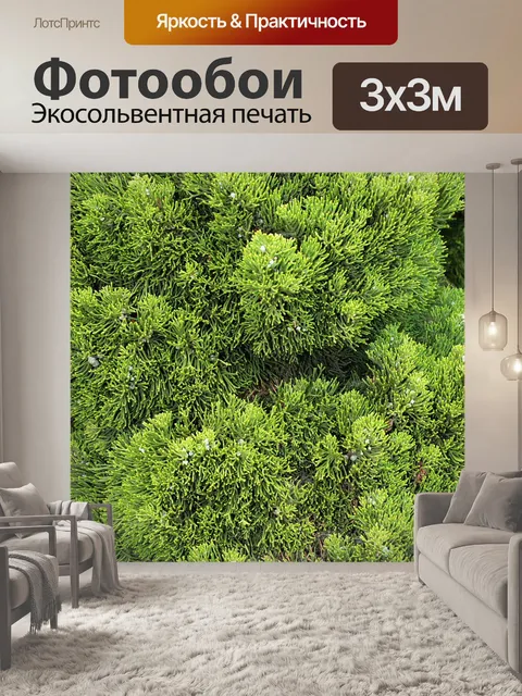 Фотообои Сайпресс фоне