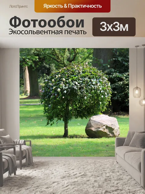 Фотообои Дерево