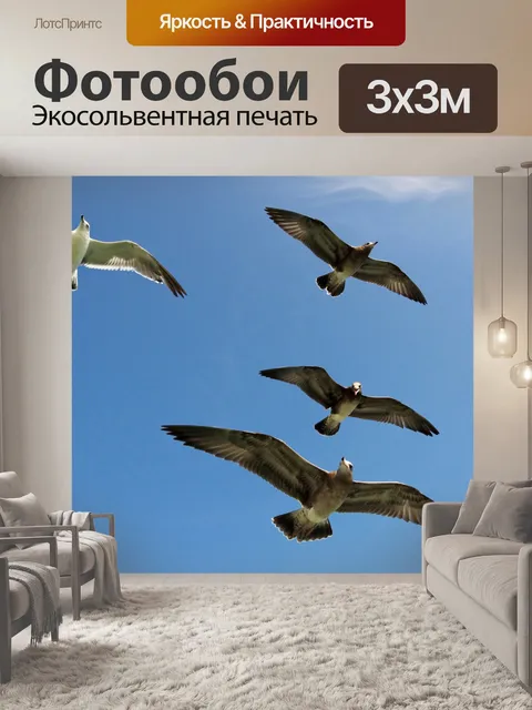 Фотообои Чайки Полет
