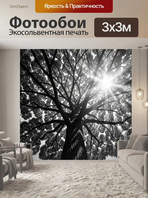 Фотообои Крона дерева в солнечных лучах