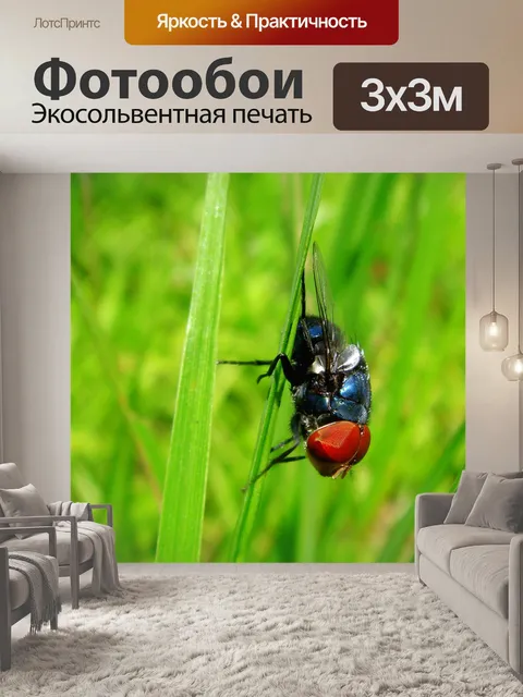 Фотообои Fly