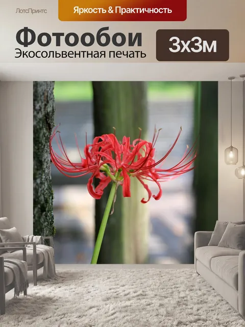 Фотообои Ботаник