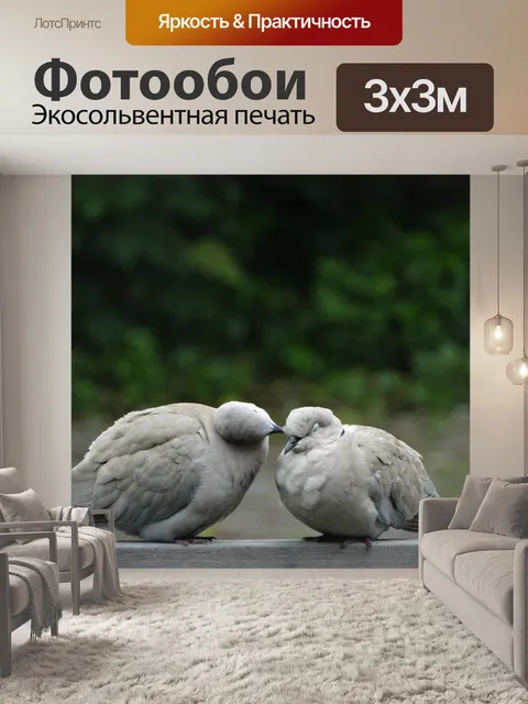 Фотообои Лесные голуби