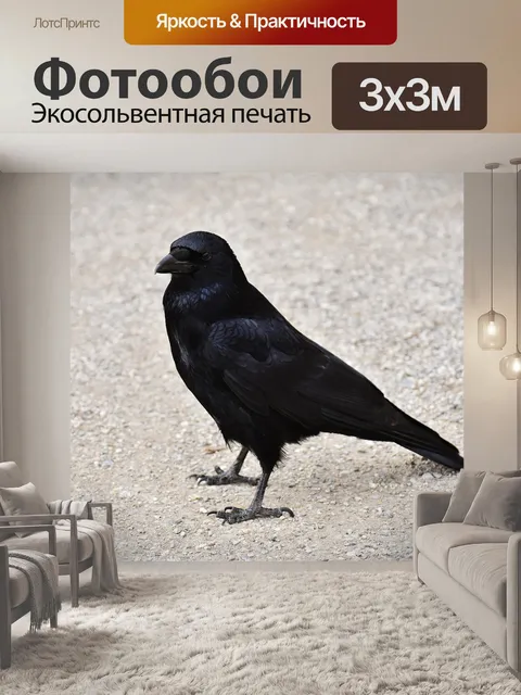 Фотообои Ворона