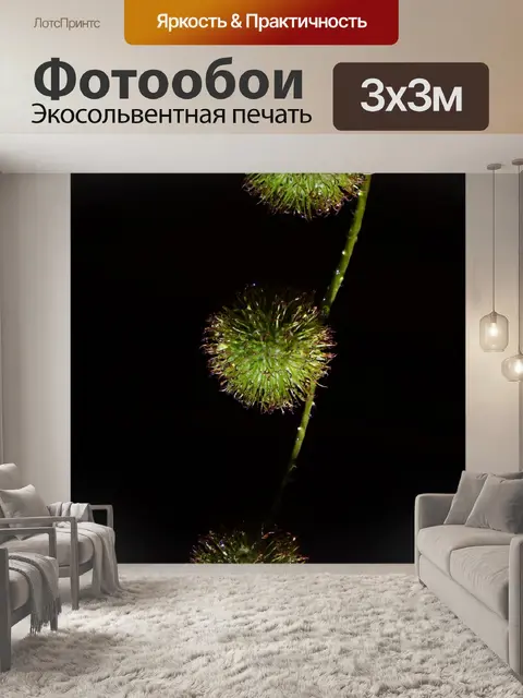 Фотообои Самолет