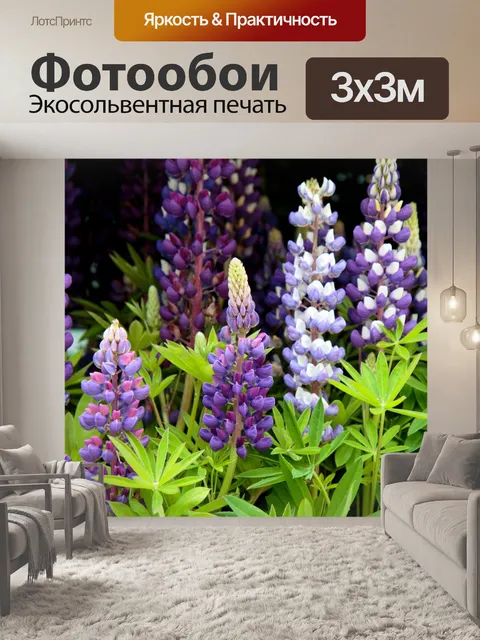 Фотообои Люпин Цветы