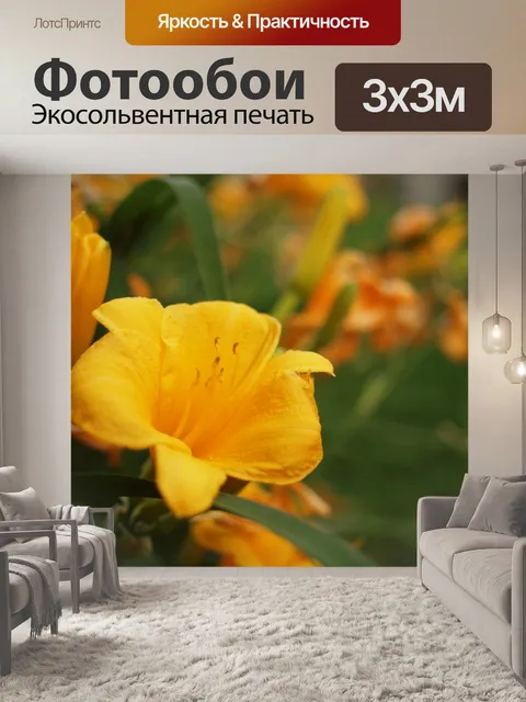 Фотообои желтая лилия