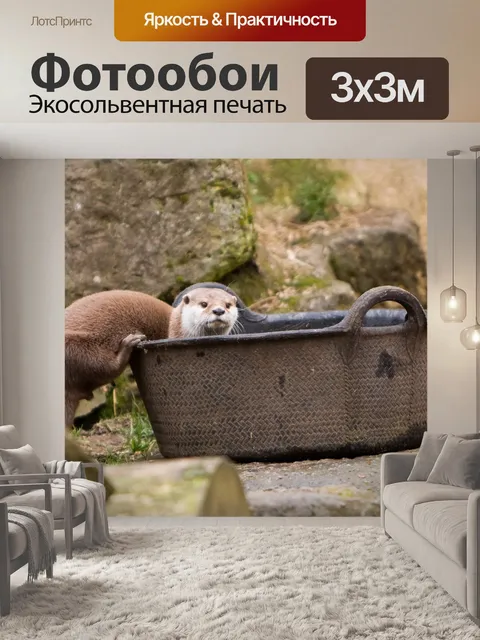 Фотообои Выдра