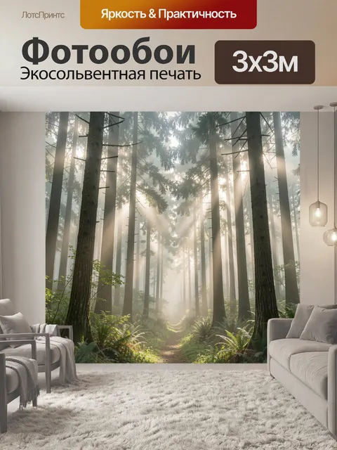 Фотообои Туманный лес с тропинкой