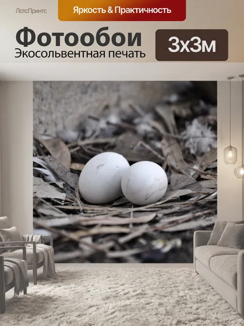 Фотообои Яйца