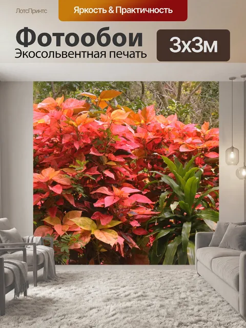 Фотообои растение с желтыми и розовыми листьями