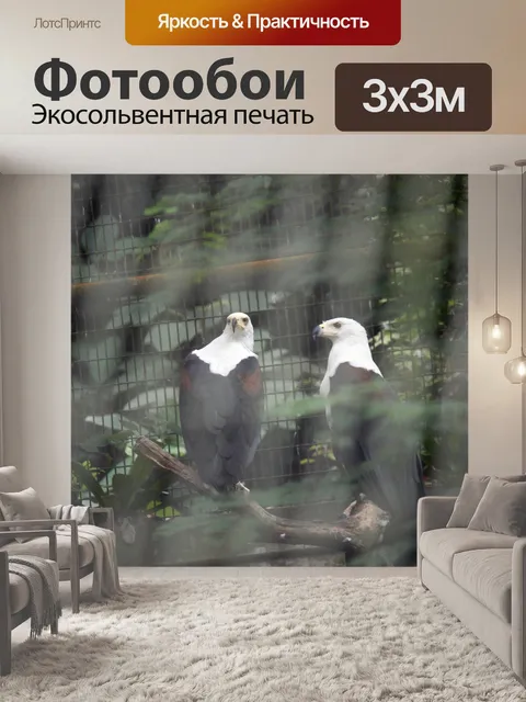 Фотообои две белые головы орла внутри клетки