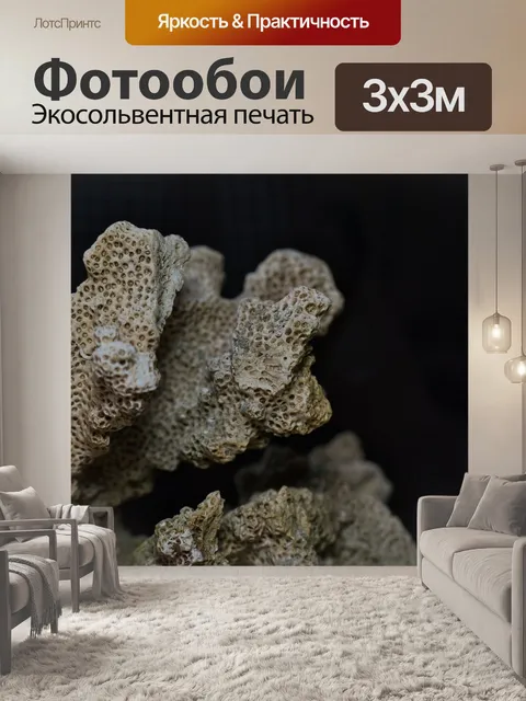 Фотообои Коралл