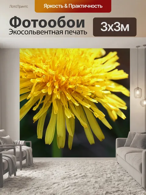 Фотообои деталь на ярко-желтом одуванчике