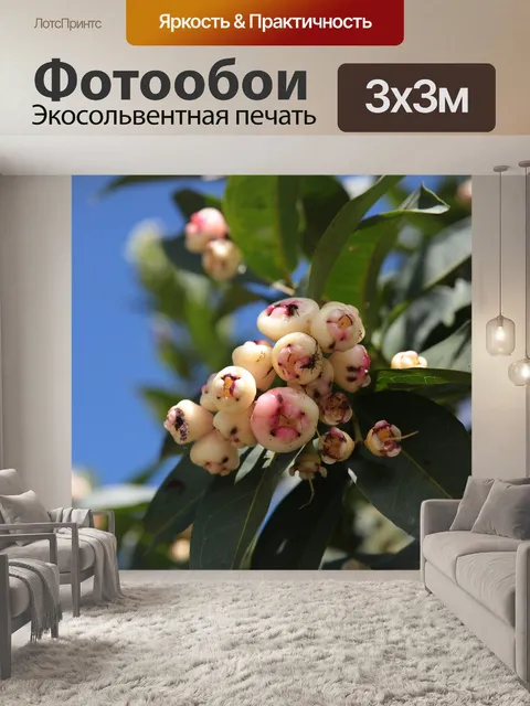 Фотообои Море