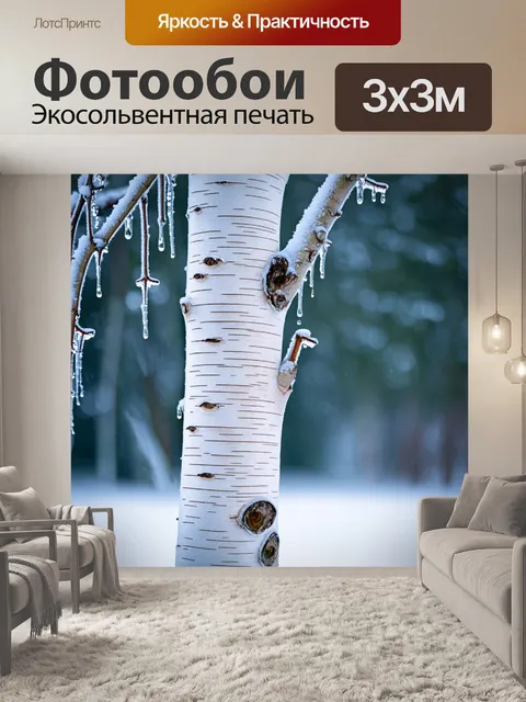 Фотообои береза с белой корой