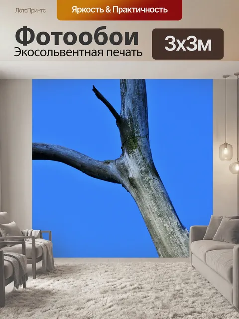 Фотообои мертвых филиал мхом