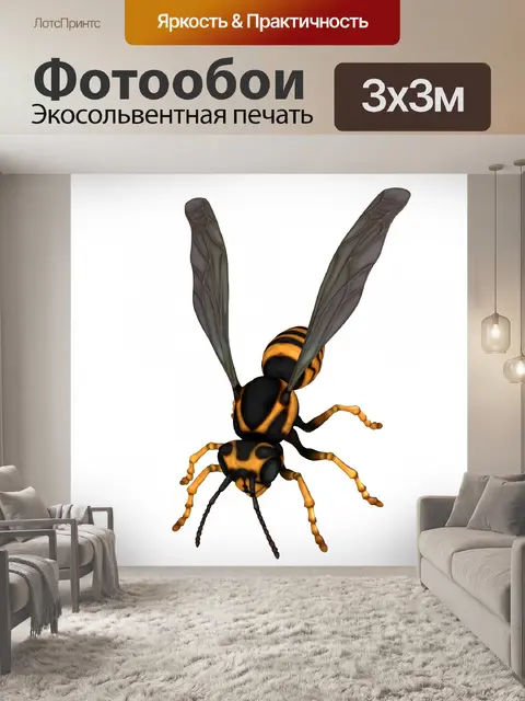 Фотообои оса