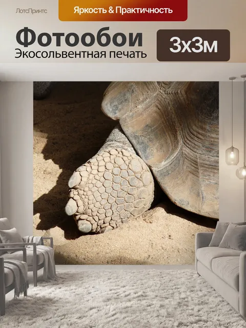 Фотообои Черепаха