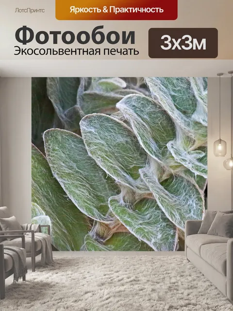 Фотообои светло-зеленое растение уха ягненка