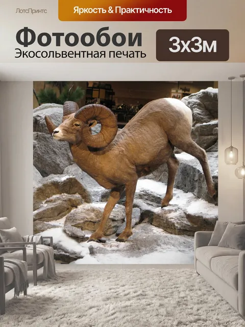 Фотообои Снежный баран