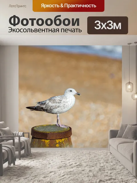Фотообои Чайка на пляже
