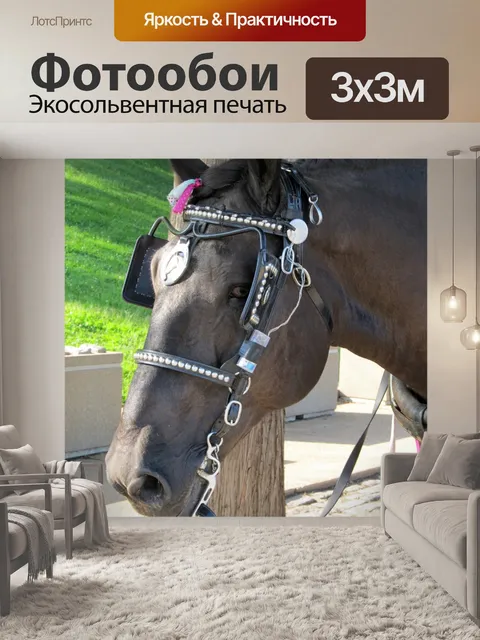 Фотообои Перевозка Лошадь