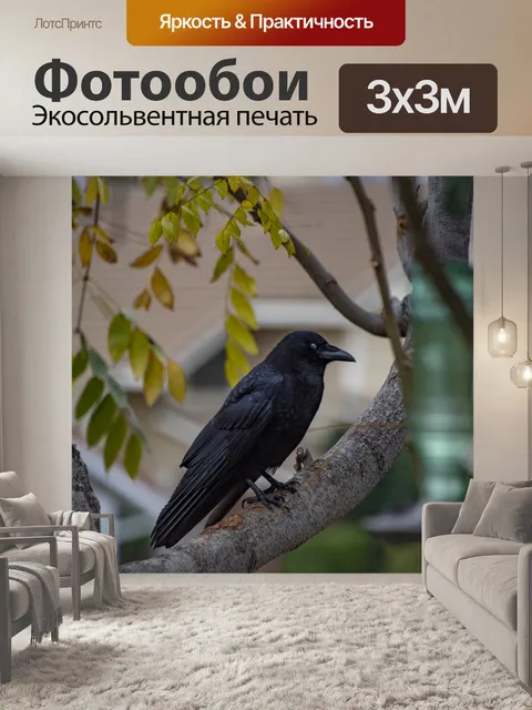 Фотообои Черная ворона на дереве