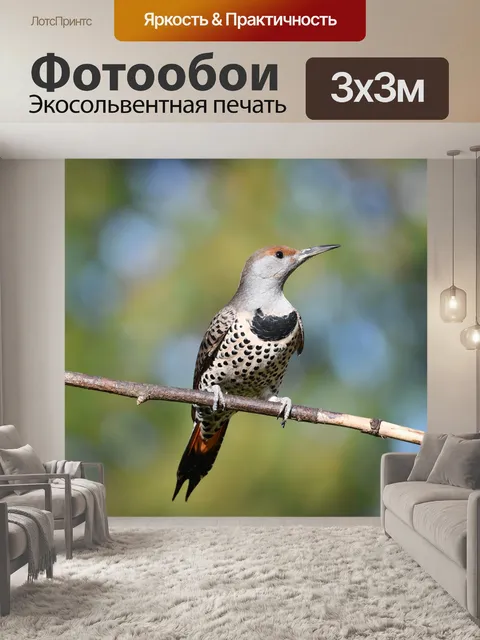 Фотообои Мерцание