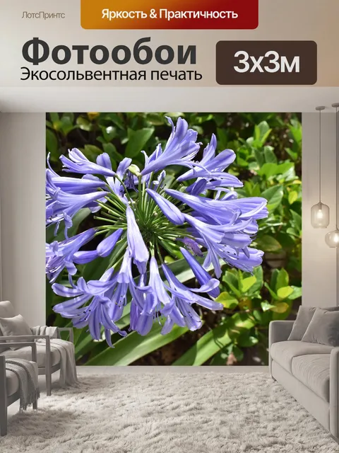 Фотообои Цветок