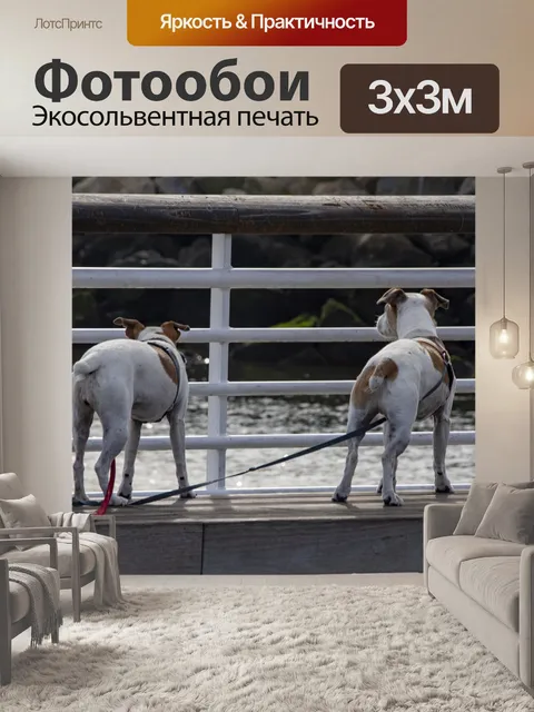Фотообои Джек Рассел Догс