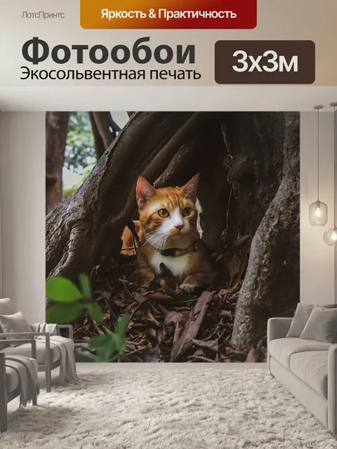 Фотообои Кошка