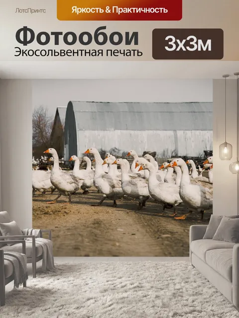 Фотообои Гусь