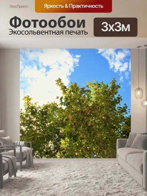 Фотообои клен