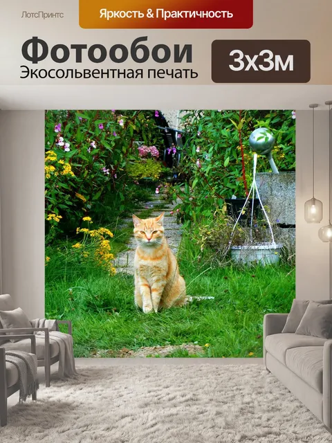 Фотообои Кот
