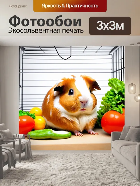 Фотообои милая морская свинка с короткой шерстью уютно устраивается в своей клетке