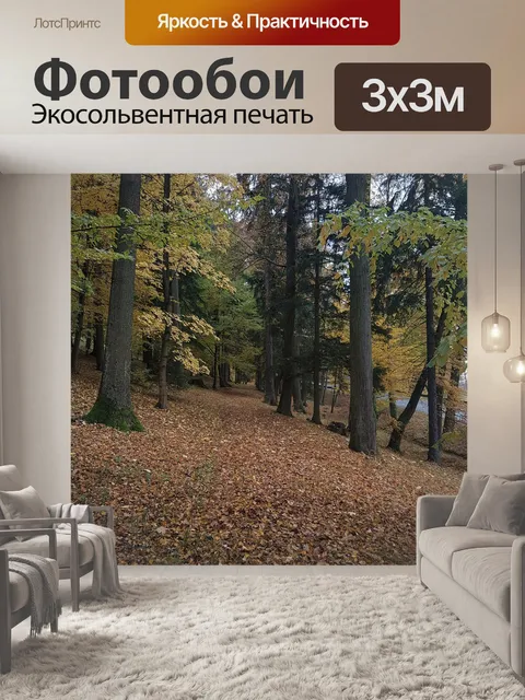 Фотообои Лес
