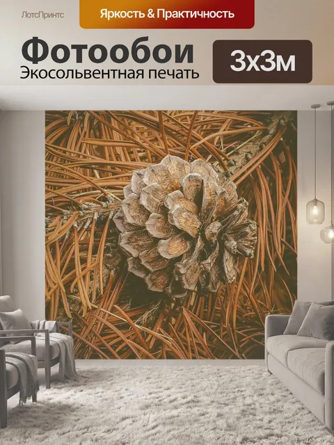 Фотообои Сухая сосновая шишка